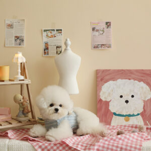 Striped Lace Bow Harness + Leash Set - Image 4