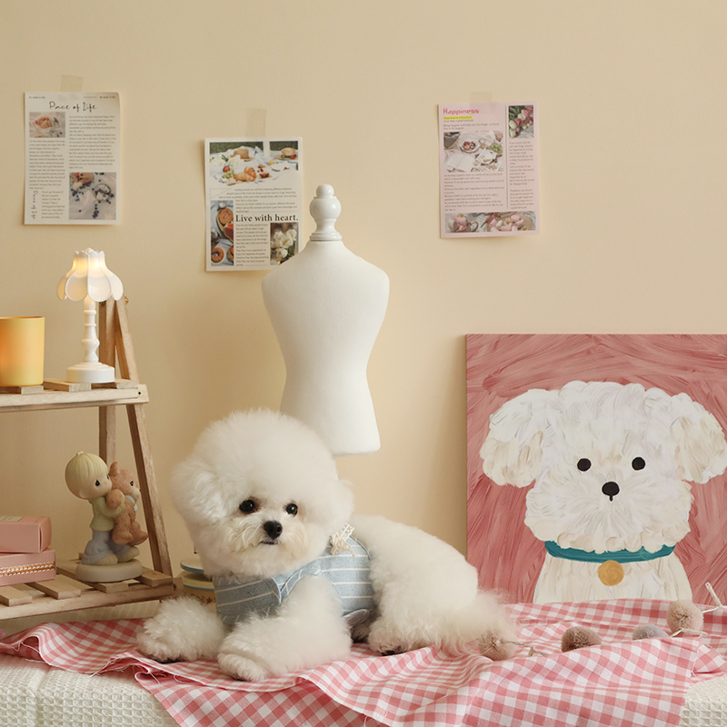 Striped Lace Bow Harness + Leash Set - Image 4