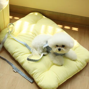 Striped Lace Bow Harness + Leash Set - Image 5