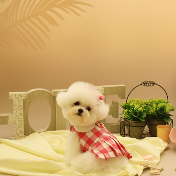 Pink Blue Checkered + Leash Set