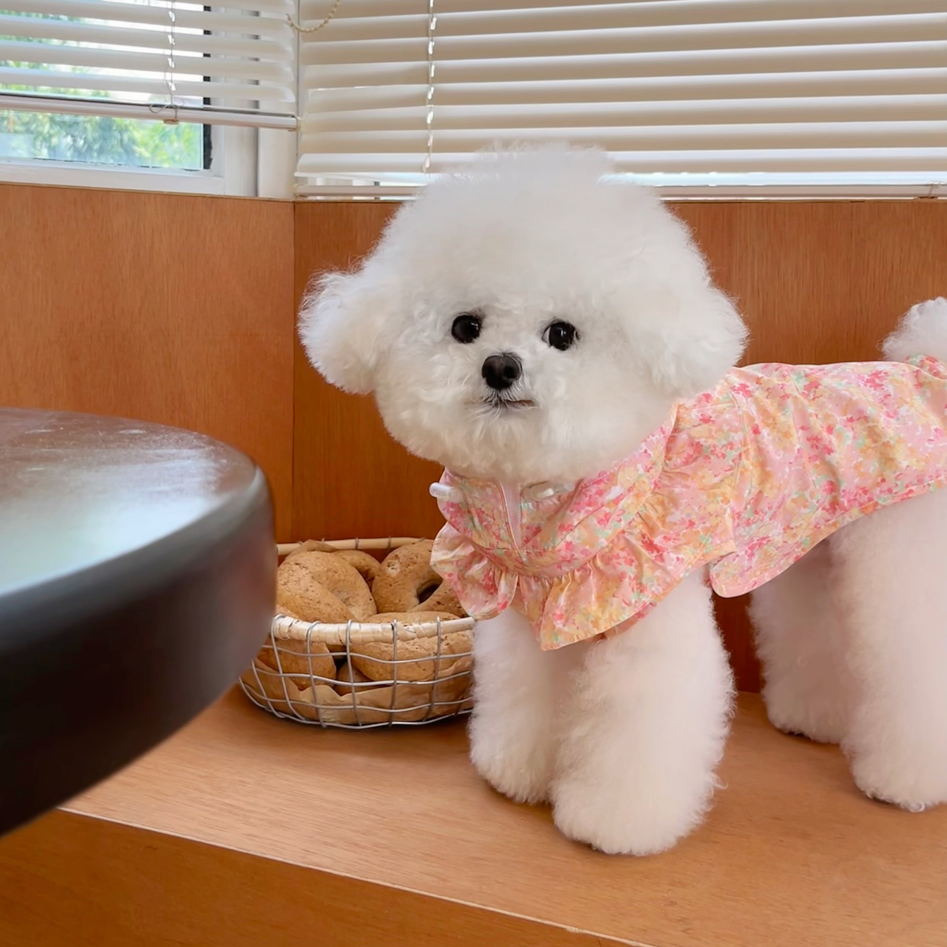 Floral Triple Protection Raincoat - Image 1