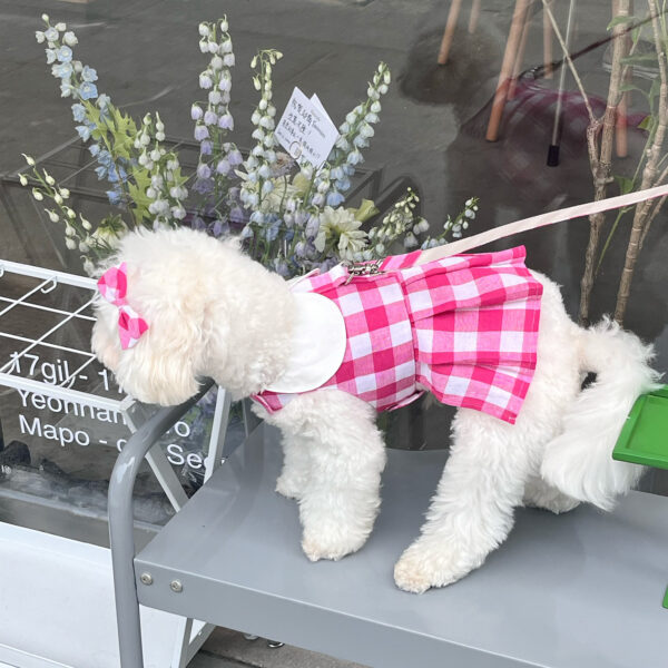 Pink Blue Checkered + Leash Set
