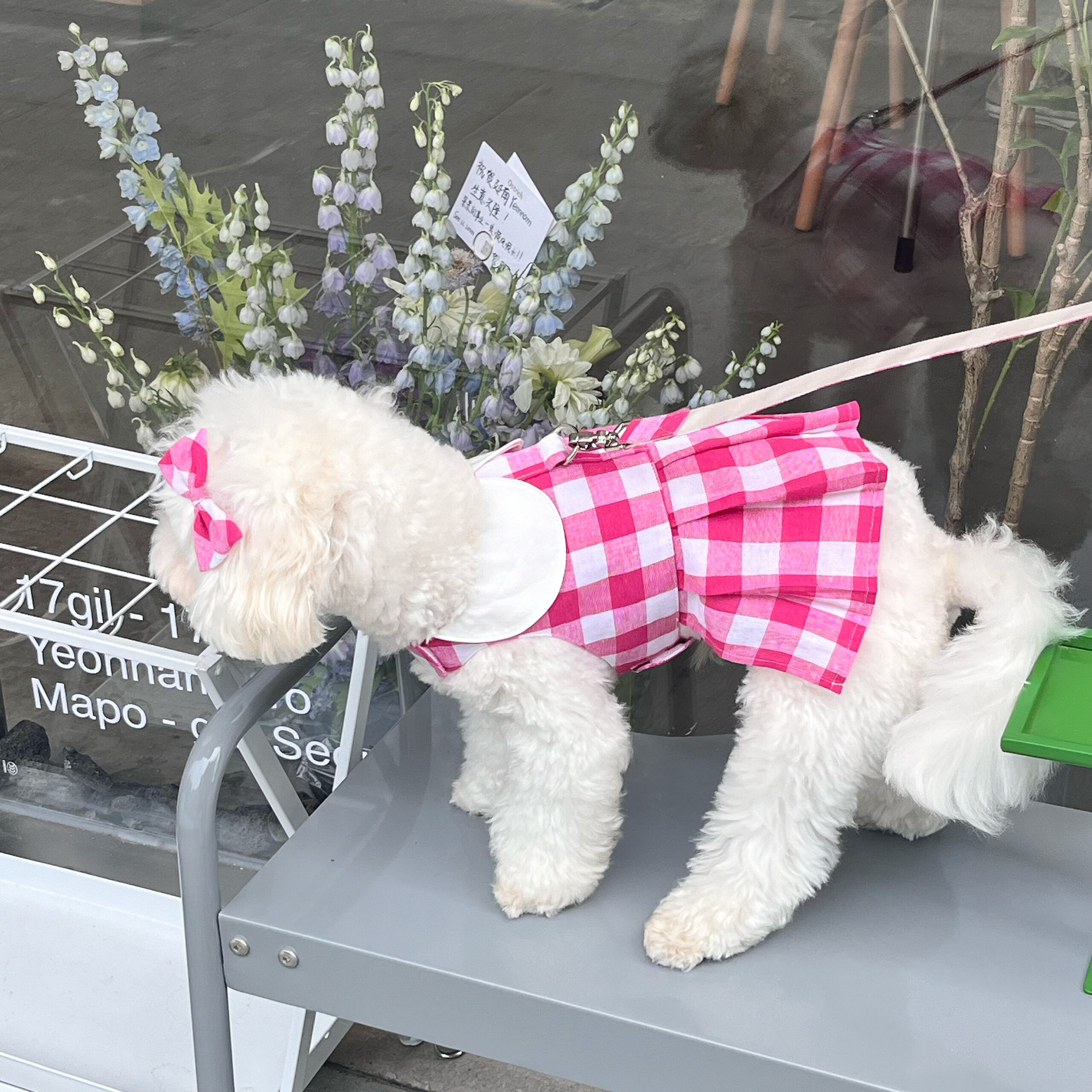 Pink Blue Checkered + Leash Set - Image 6