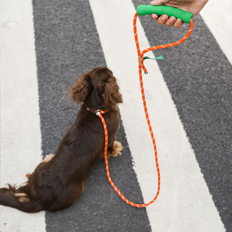 New New Pet Leash - Image 1