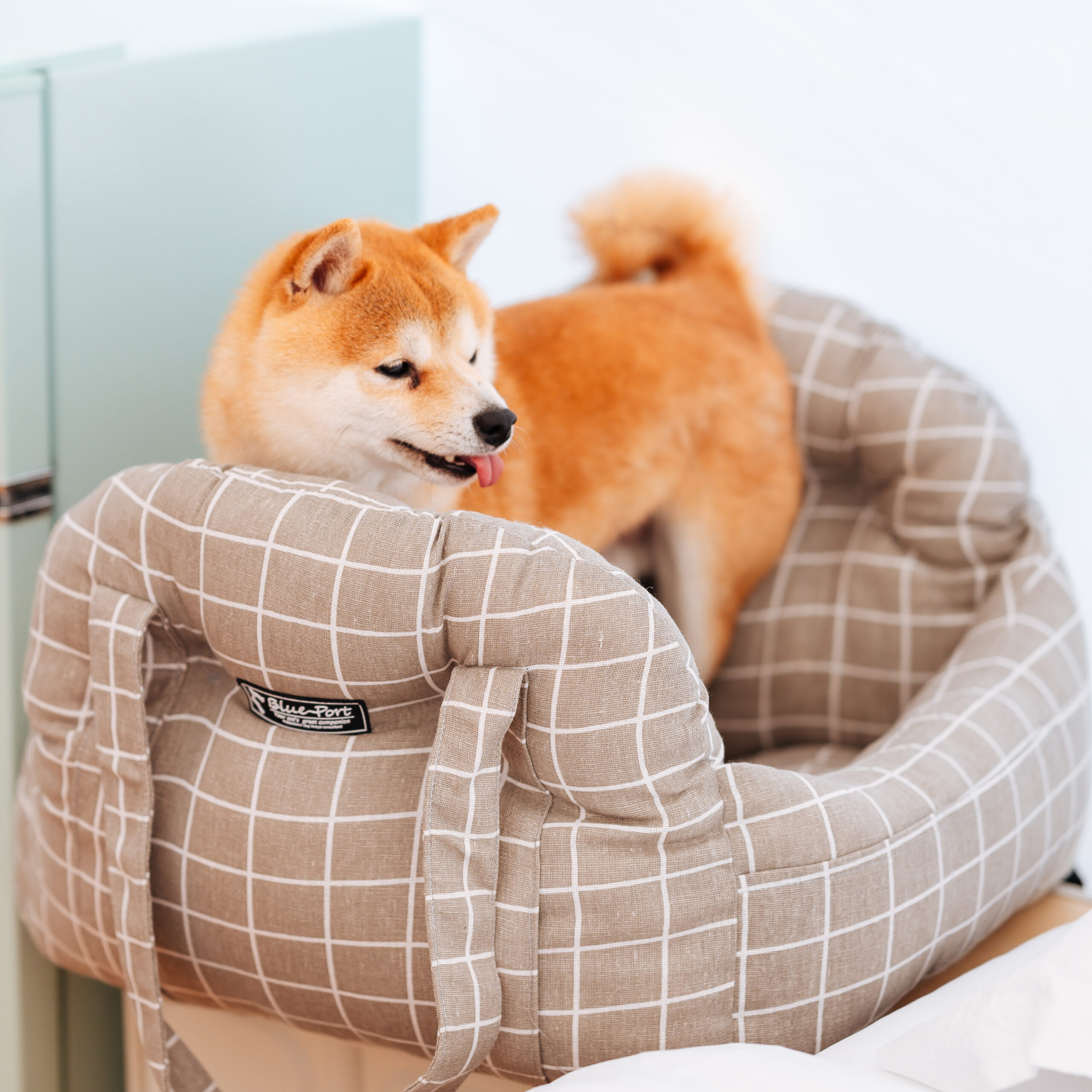 Arc-Shaped Backpack Car Seat Carrier - Image 3