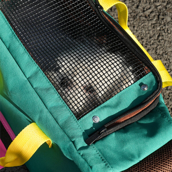 Color Block Crossbody Pet Carrier