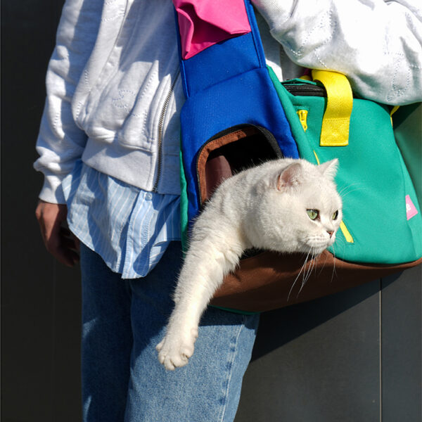 Color Block Crossbody Pet Carrier