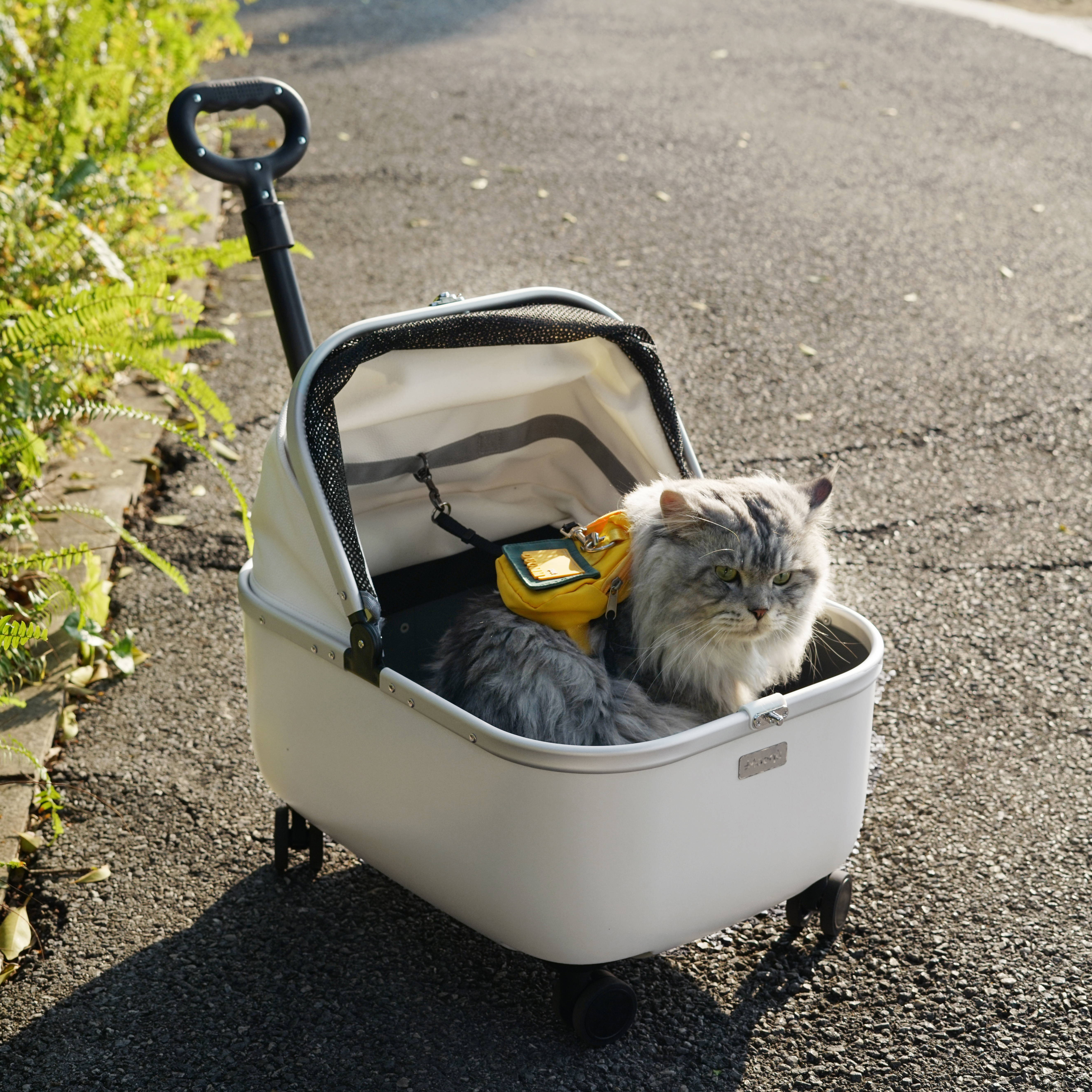 Puffy Cloud Pet Stroller - Image 1