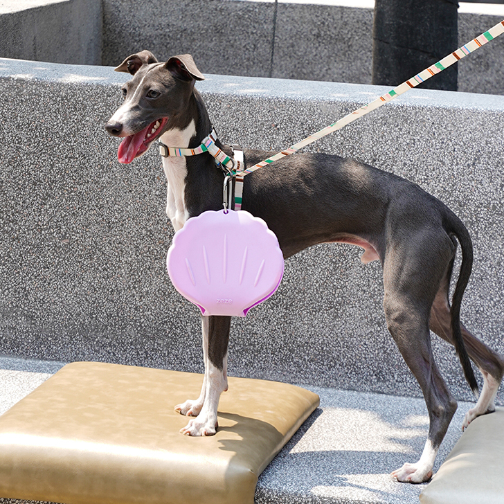 Shell Foldable Double Bowl - Image 2