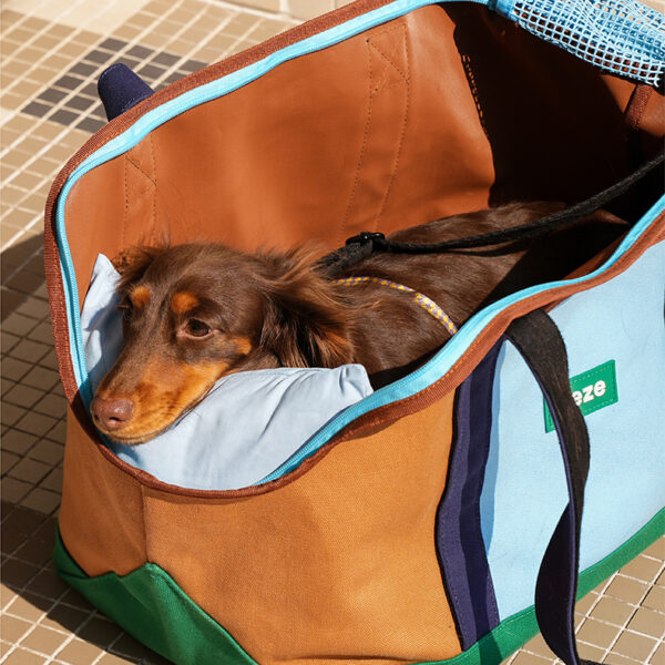 Canvas City Walk Pet Carrier Bag