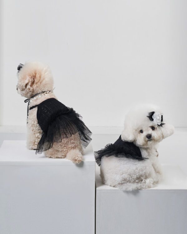 Bailey Blossom Elegant Tutu Dress