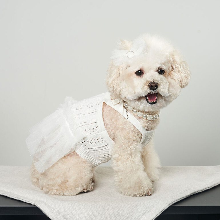 Bailey Blossom Elegant Tutu Dress - Image 6