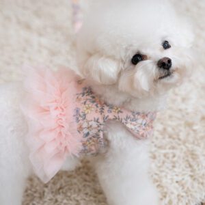 Bailey Evelyn Flower Harness - Image 2