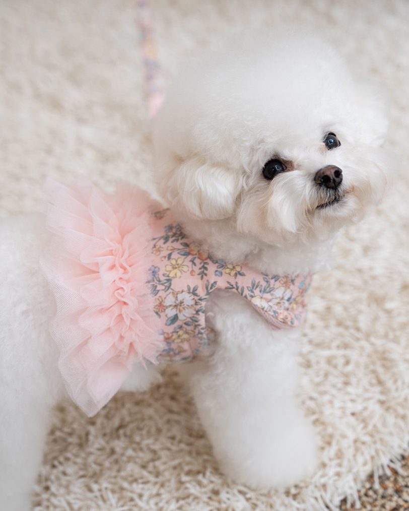 Bailey Evelyn Flower Harness - Image 2