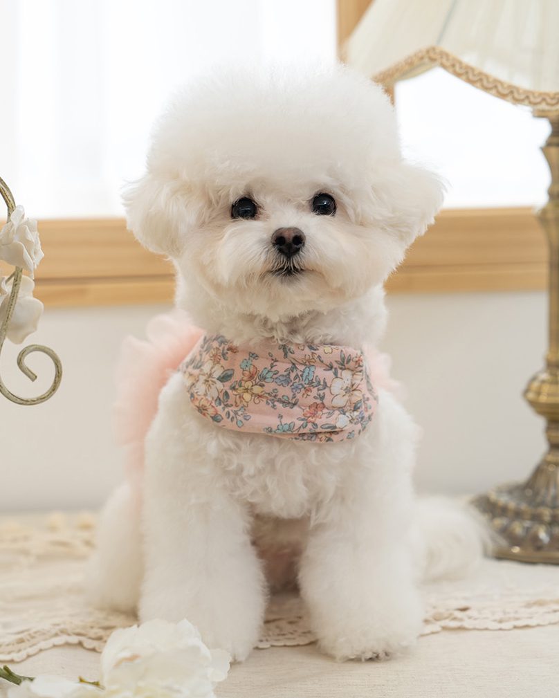 Bailey Evelyn Flower Harness - Image 4