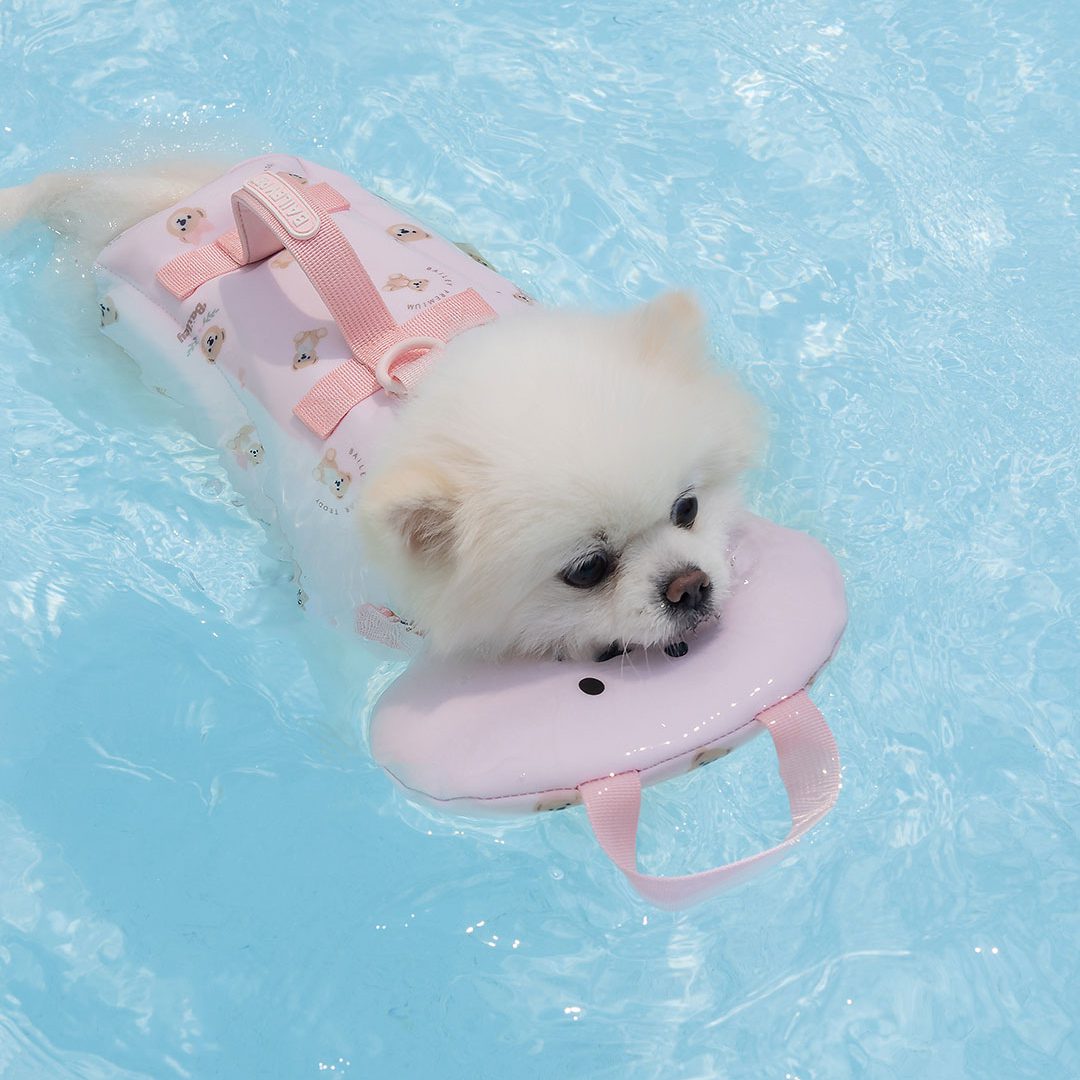 Bailey Teddy Bear Dog Life Jacket - Image 5