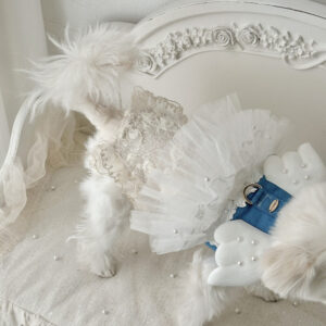 Comely Denim Dress Up Angel Harness - Image 4