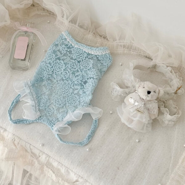 Comely Rose Lace Cotton Innerwear