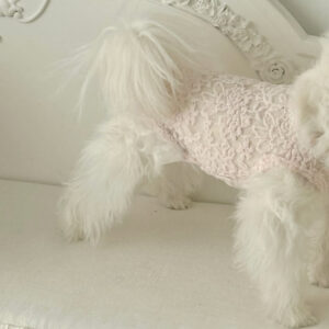 Comely Rose Lace Cotton Innerwear - Image 7