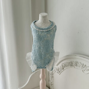 Comely Rose Lace Cotton Innerwear