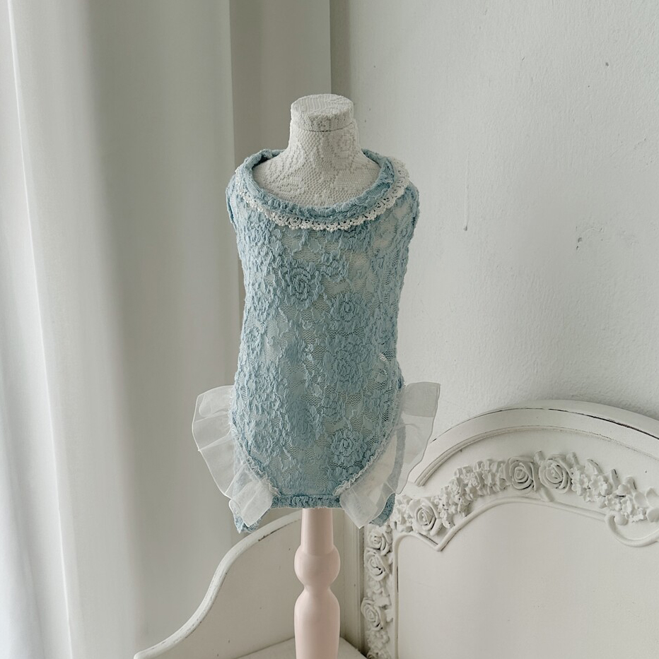 Comely Rose Lace Cotton Innerwear - Image 1