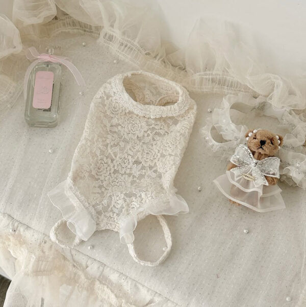 Comely Rose Lace Cotton Innerwear