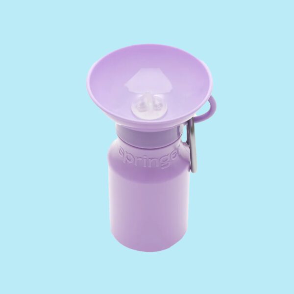 Mini Springer Dog Travel Water Bottle 450ml