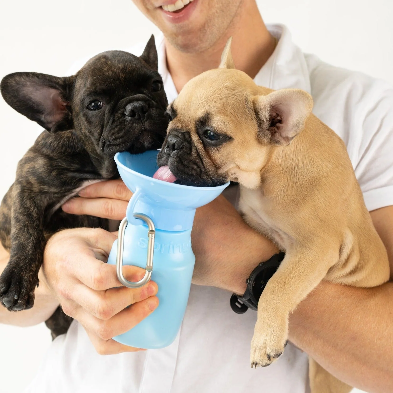 Mini Springer Dog Travel Water Bottle 450ml - Image 3