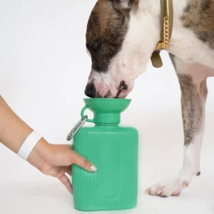 Growler Springer Dog Travel Water Bottle 1300ml - Image 3