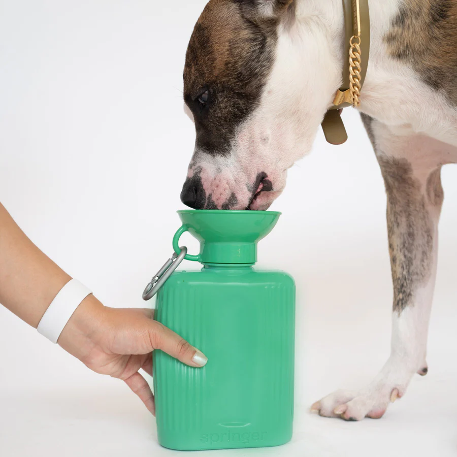 Growler Springer Dog Travel Water Bottle 1300ml - Image 3