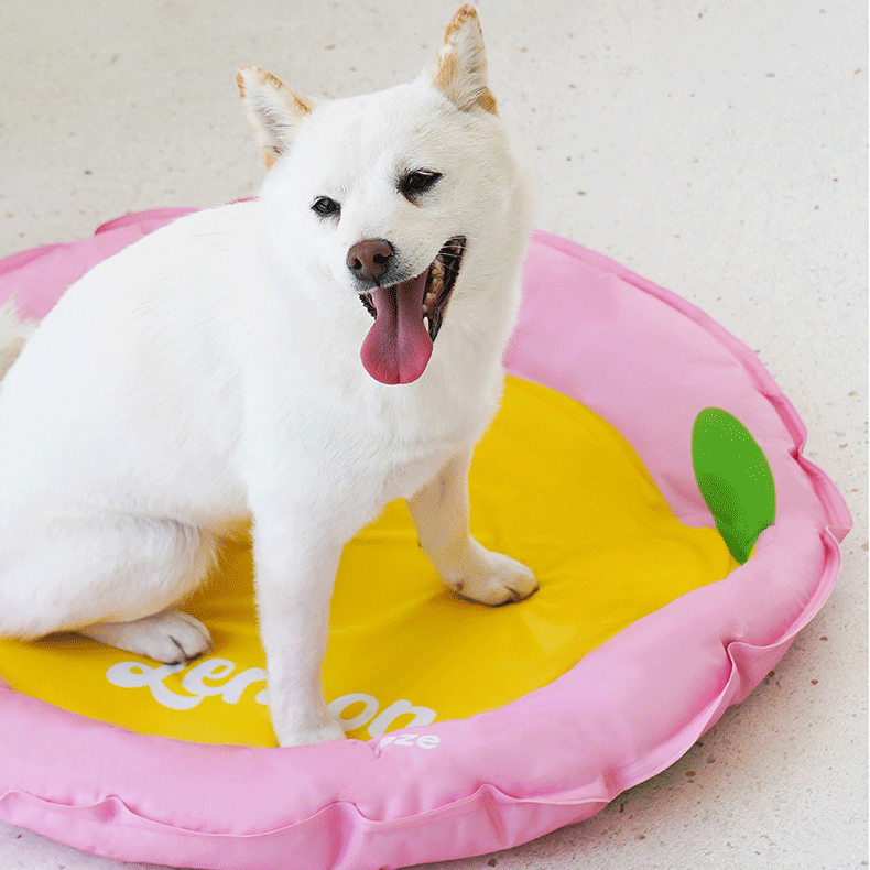 Lemon Cooling Bed - Image 2