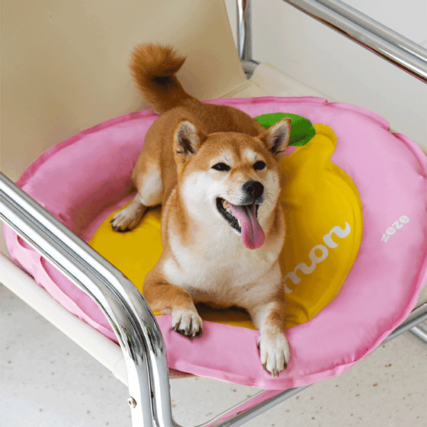 Lemon Cooling Bed
