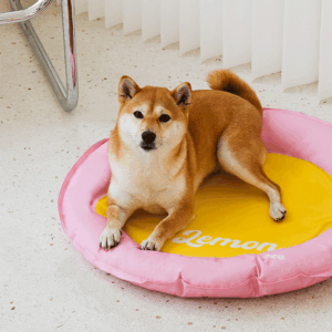 Lemon Cooling Bed - Image 3