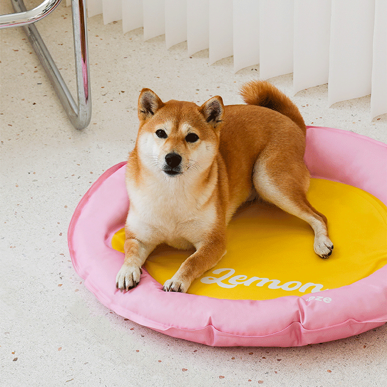 Lemon Cooling Bed - Image 3