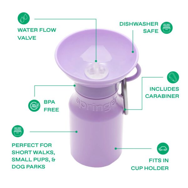 Mini Springer Dog Travel Water Bottle 450ml