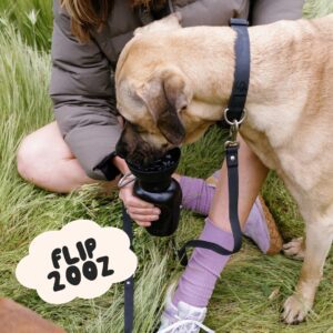 Flip Springer Dog Travel Water Bottle 600ml - Image 2