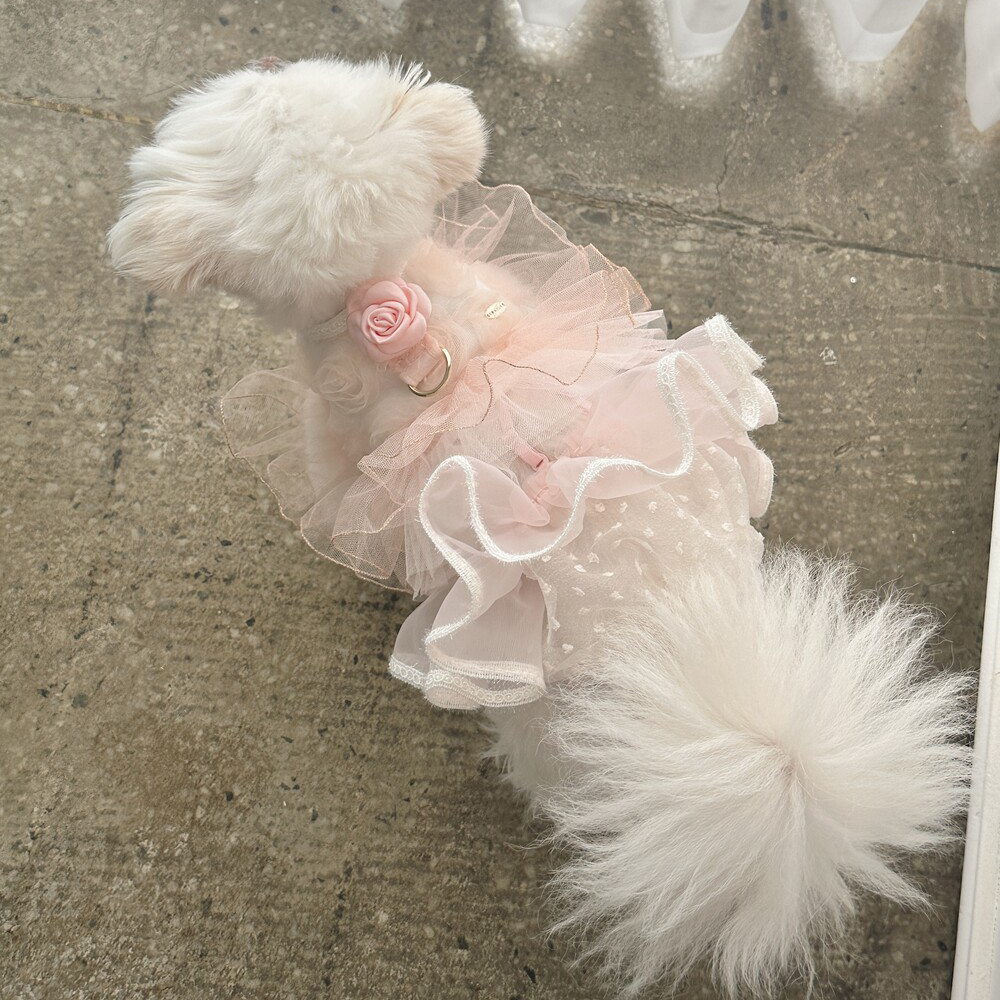 Comely Sugar Dot Tutu Pink Pants - Image 3