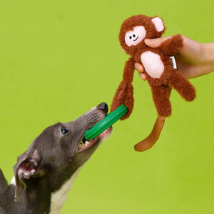 Clever Monkey Crinkle Teething Ring Toy - Image 2