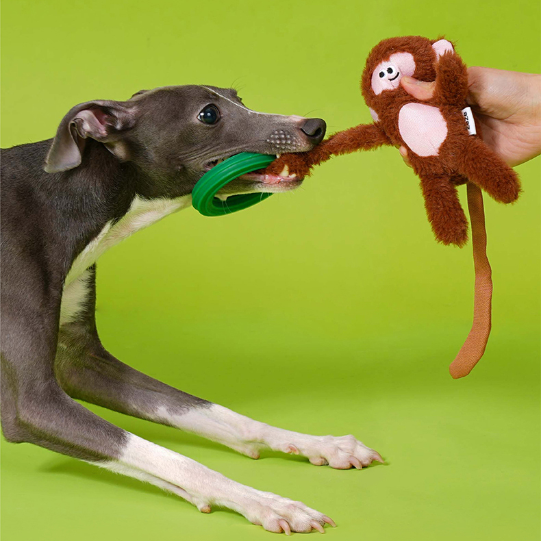 Clever Monkey Crinkle Teething Ring Toy - Image 1