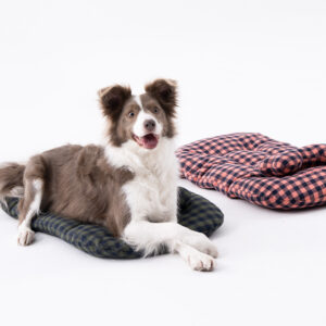 Pompolarr Pet Stripe Liner Set Classic Deluxe Pet Wagon Cushion Pillow - Image 2
