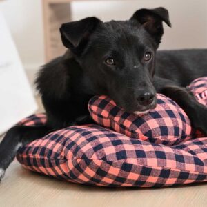 Pompolarr Pet Stripe Liner Set Classic Deluxe Pet Wagon Cushion Pillow - Image 5