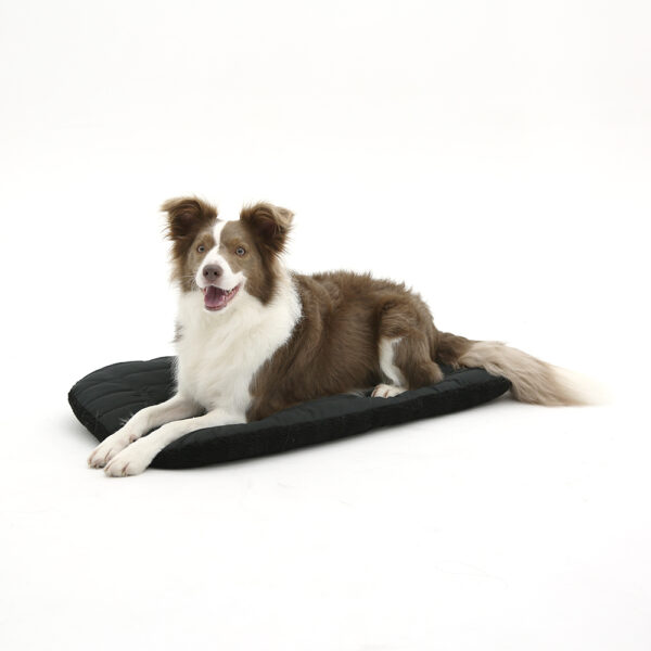 Pompolarr Pet Poggli Liner Set Pet Wagon Winter Cushion Pillow