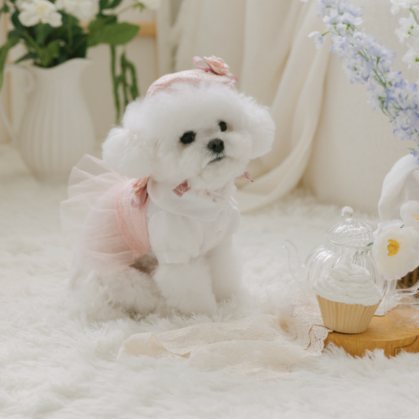 Malrang Coco Bustier One-Piece