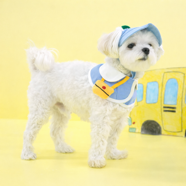 Kindergarden Cape & Hat Set