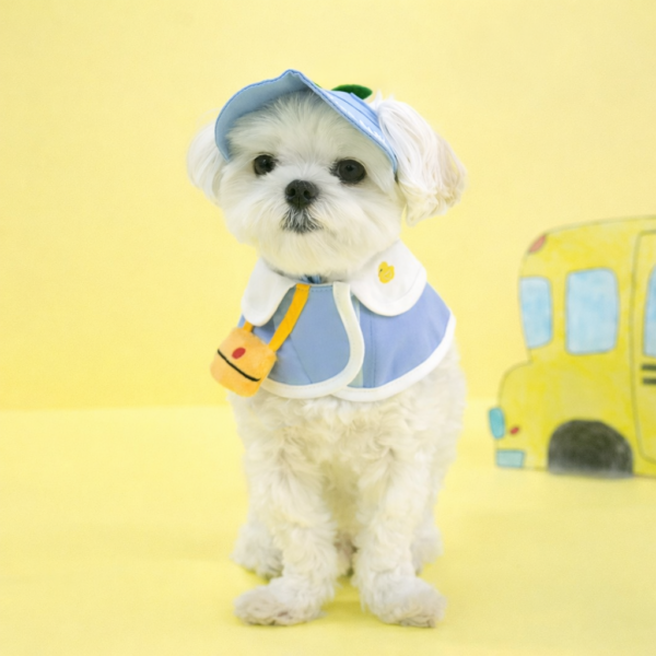 Kindergarden Cape & Hat Set