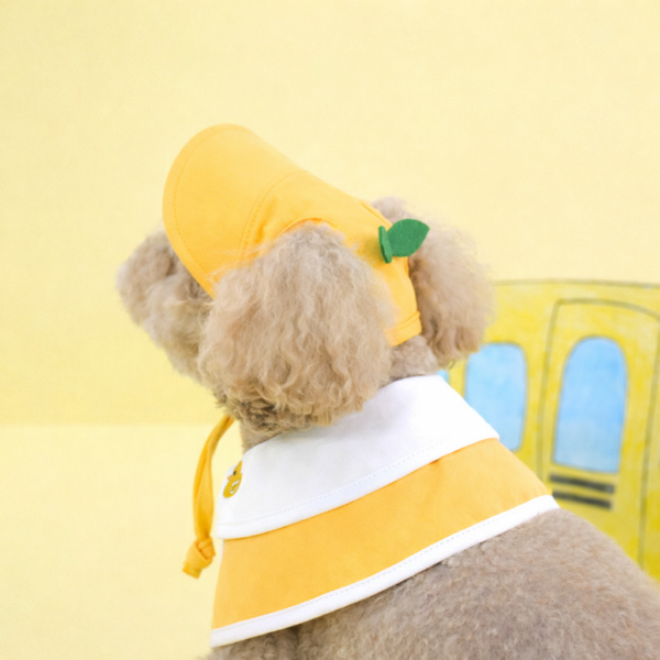 Kindergarden Cape & Hat Set