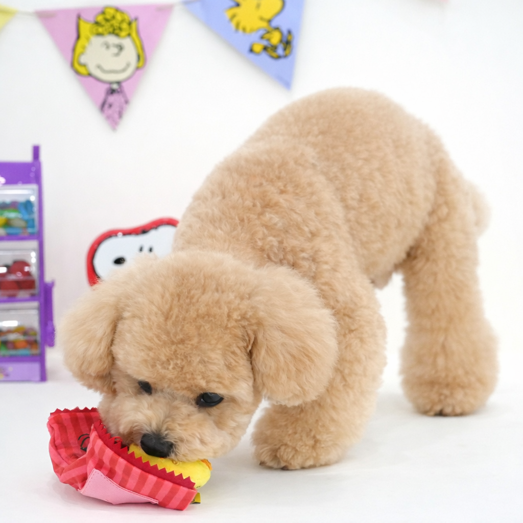 ParisDog PEANUTS 75th Anniversary Candy Bar Snack Toy - Image 2
