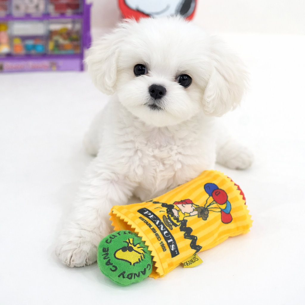 ParisDog PEANUTS 75th Anniversary Candy Bar Snack Toy - Image 1