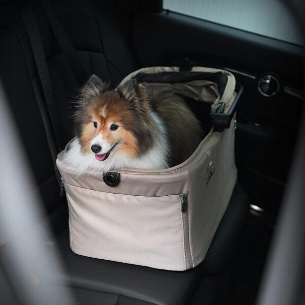 Pompolarr Small Wagon Hybrid Low-Floor Detachable Carrier Stroller