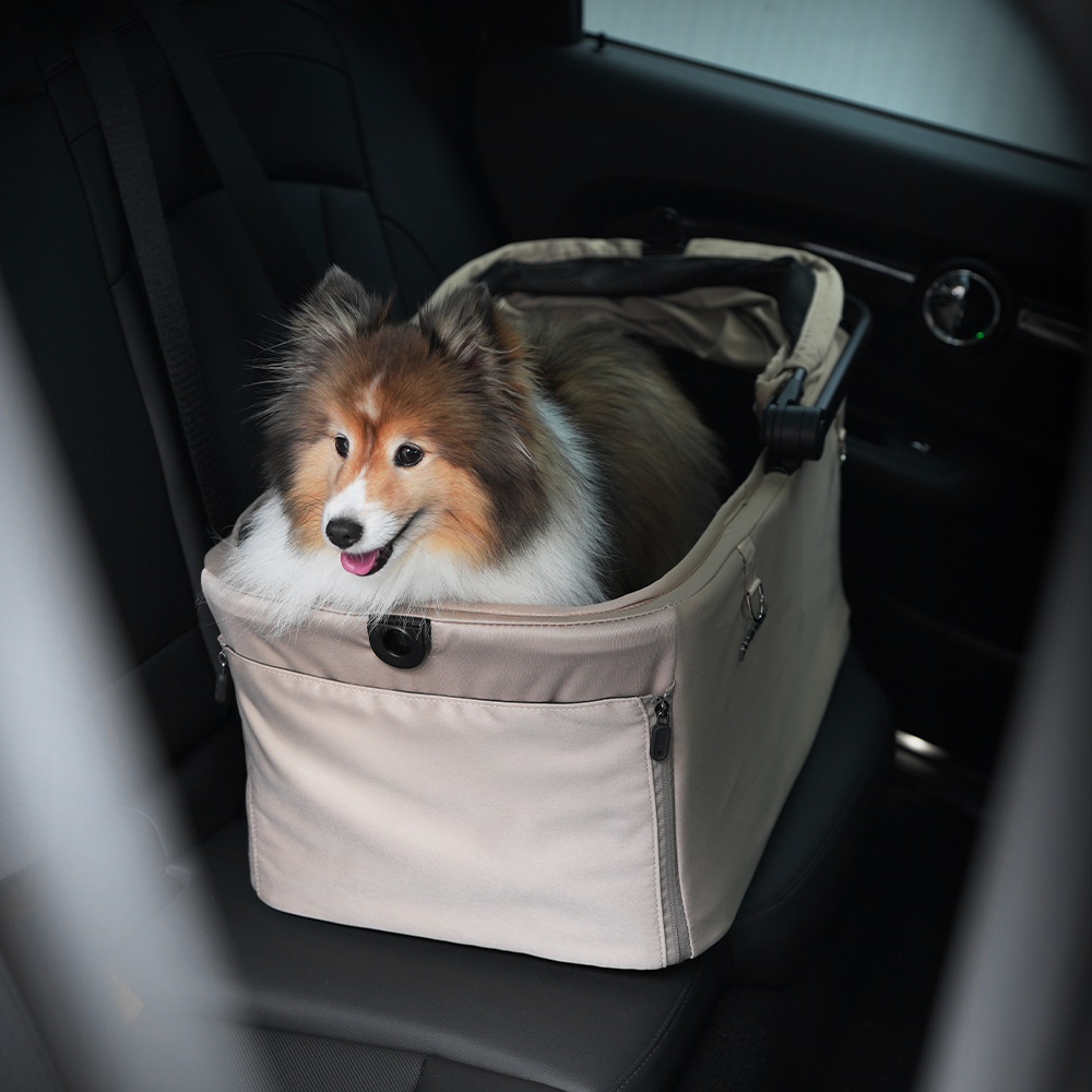 Pompolarr Small Wagon Hybrid Low-Floor Detachable Carrier Stroller - Image 2